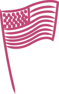 USIT_USFlag_Illustration.png